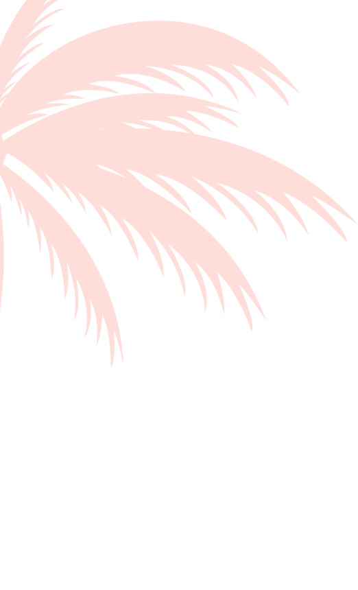 layout-slider1-01.png