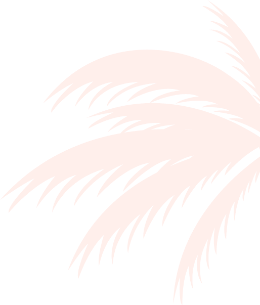 img-slider2-01.png